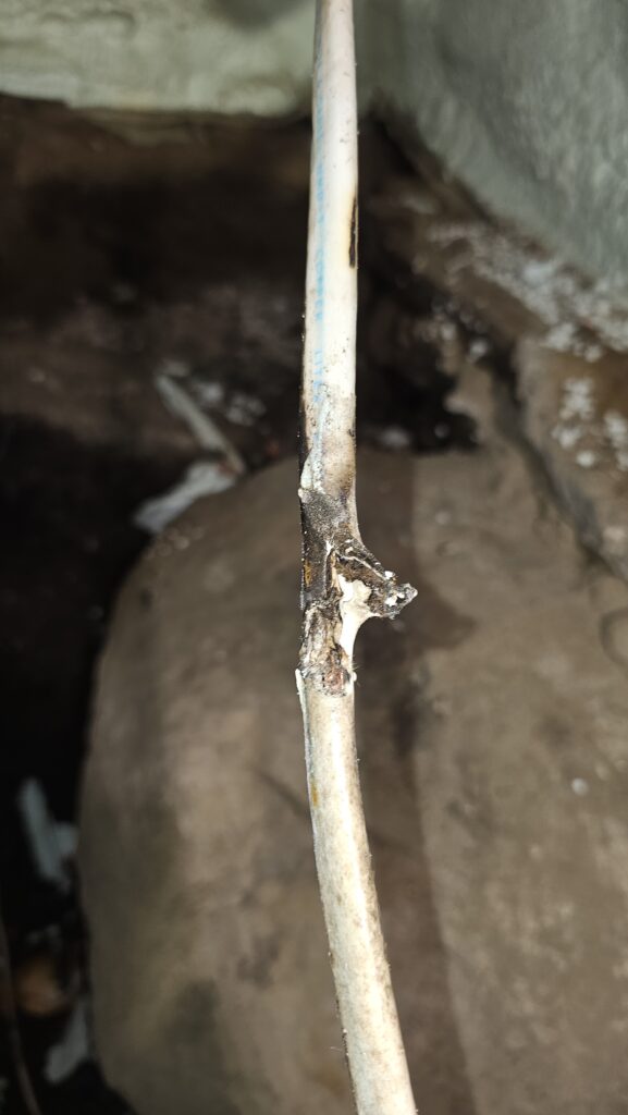 Mouse-eaten wire discovered during troubleshooting.
